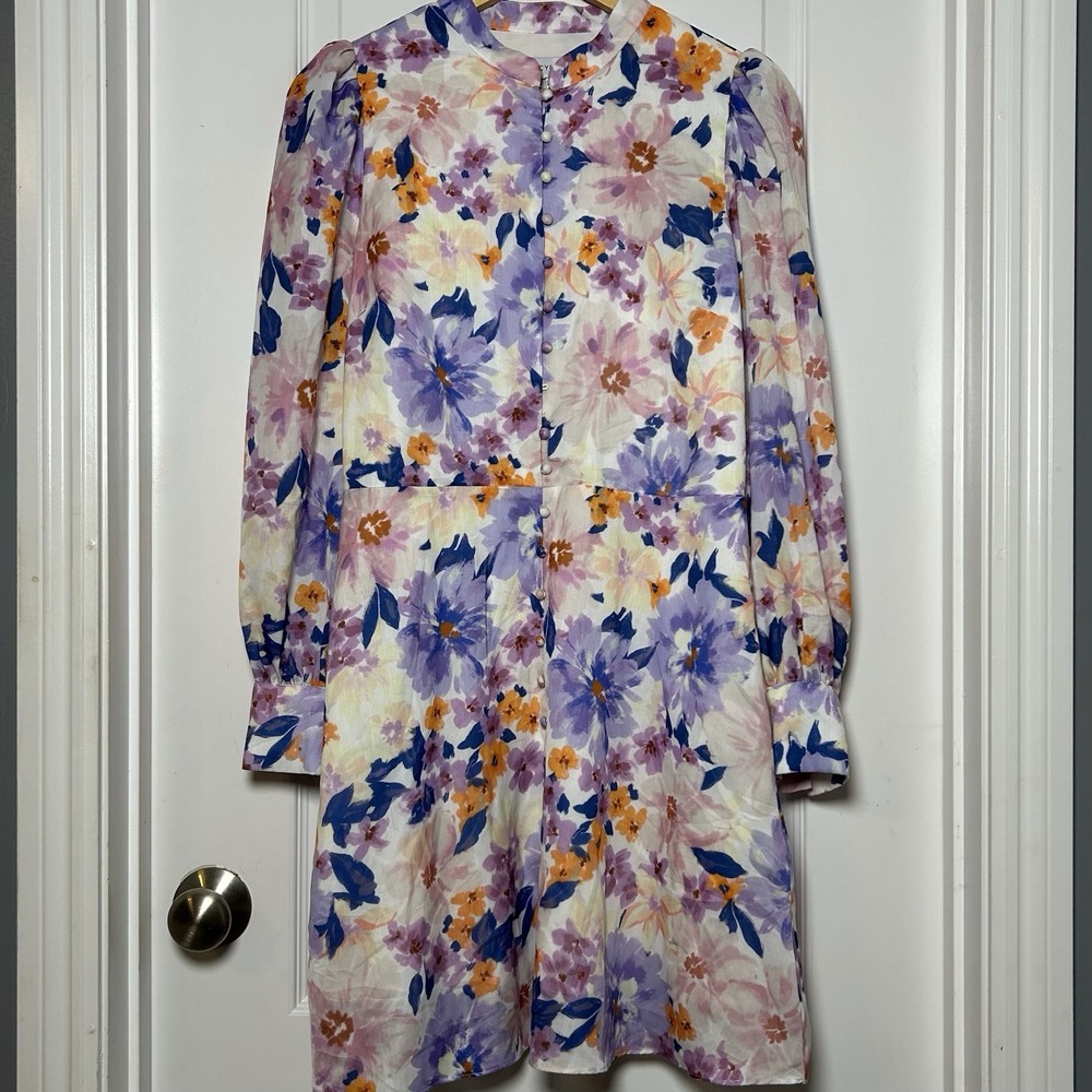 Lucy Paris Watercolor Floral Print Long Sleeve High Neck Button Front Mini Dress